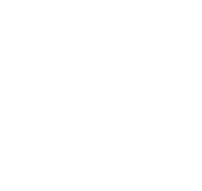 MZZ srl